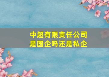 中超有限责任公司是国企吗还是私企