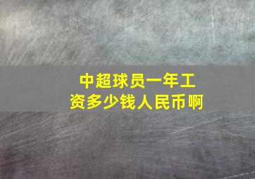 中超球员一年工资多少钱人民币啊