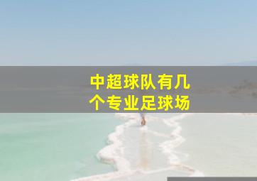 中超球队有几个专业足球场