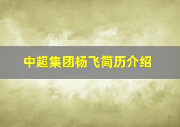 中超集团杨飞简历介绍