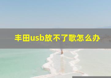 丰田usb放不了歌怎么办