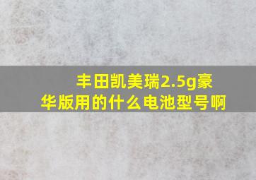 丰田凯美瑞2.5g豪华版用的什么电池型号啊