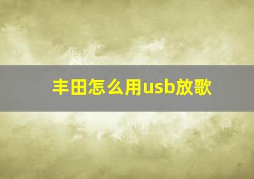 丰田怎么用usb放歌