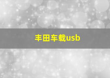 丰田车载usb