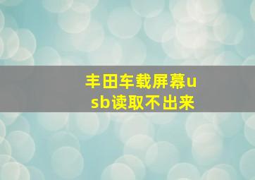 丰田车载屏幕usb读取不出来