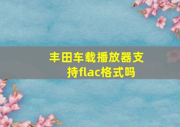 丰田车载播放器支持flac格式吗