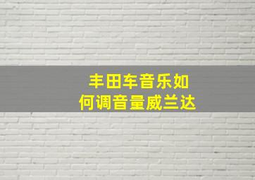 丰田车音乐如何调音量威兰达