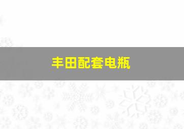 丰田配套电瓶