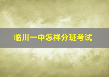 临川一中怎样分班考试