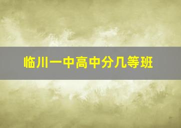 临川一中高中分几等班