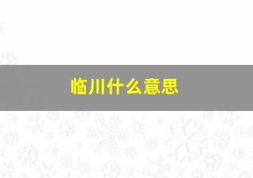 临川什么意思