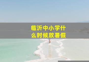 临沂中小学什么时候放暑假