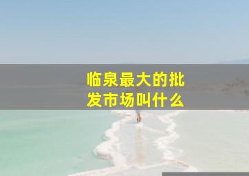 临泉最大的批发市场叫什么