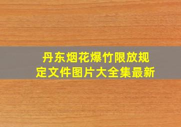 丹东烟花爆竹限放规定文件图片大全集最新