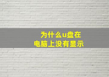 为什么u盘在电脑上没有显示