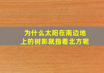 为什么太阳在南边地上的树影就指着北方呢