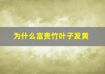 为什么富贵竹叶子发黄