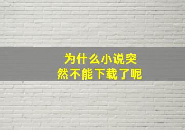 为什么小说突然不能下载了呢