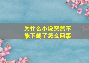 为什么小说突然不能下载了怎么回事