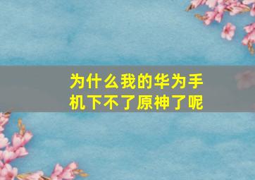 为什么我的华为手机下不了原神了呢