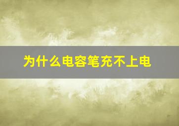 为什么电容笔充不上电