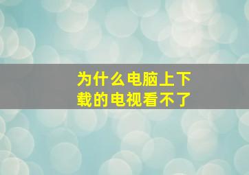 为什么电脑上下载的电视看不了