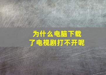 为什么电脑下载了电视剧打不开呢