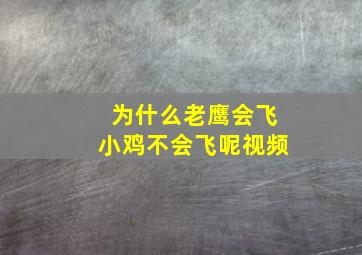 为什么老鹰会飞小鸡不会飞呢视频