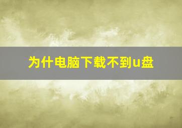 为什电脑下载不到u盘