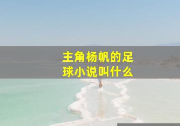 主角杨帆的足球小说叫什么