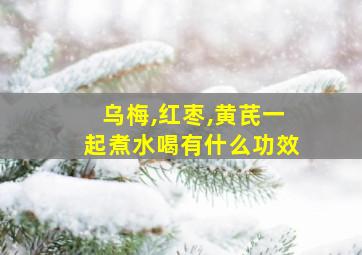 乌梅,红枣,黄芪一起煮水喝有什么功效