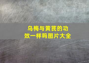 乌梅与黄芪的功效一样吗图片大全