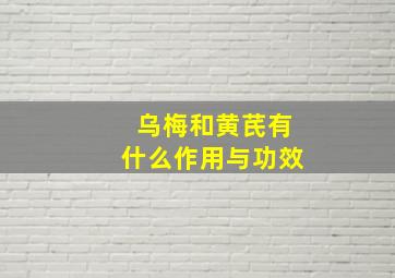 乌梅和黄芪有什么作用与功效