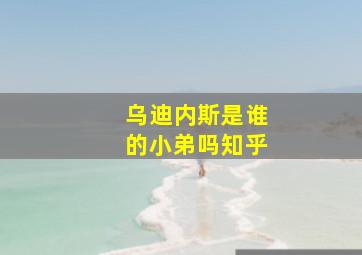 乌迪内斯是谁的小弟吗知乎