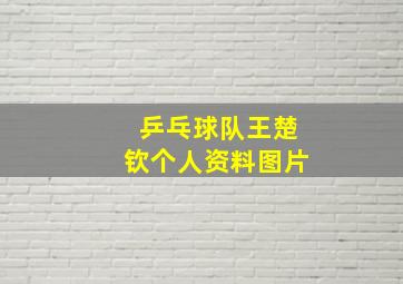 乒乓球队王楚钦个人资料图片