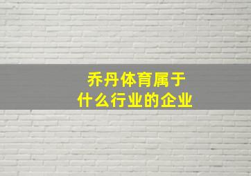 乔丹体育属于什么行业的企业