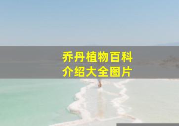 乔丹植物百科介绍大全图片