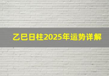 乙巳日柱2025年运势详解