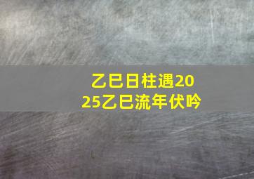 乙巳日柱遇2025乙巳流年伏吟