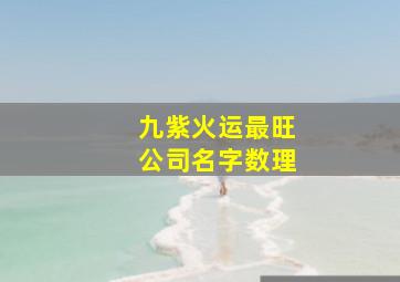 九紫火运最旺公司名字数理