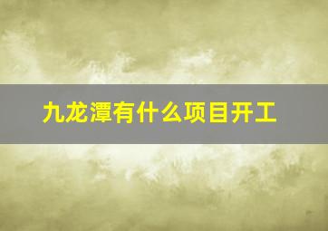 九龙潭有什么项目开工