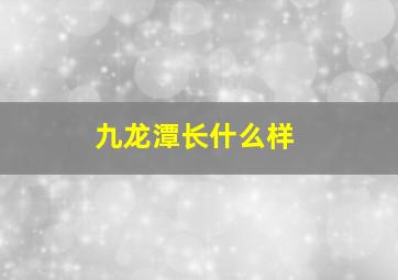 九龙潭长什么样