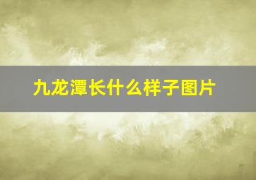 九龙潭长什么样子图片