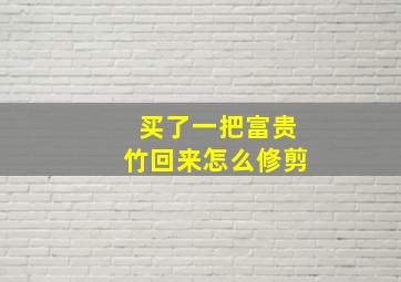 买了一把富贵竹回来怎么修剪