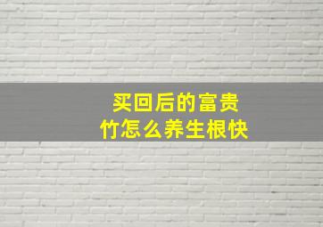 买回后的富贵竹怎么养生根快