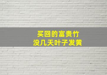 买回的富贵竹没几天叶子发黄