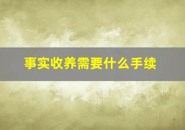 事实收养需要什么手续