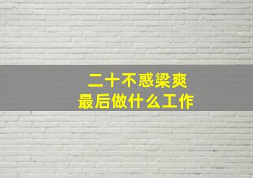 二十不惑梁爽最后做什么工作