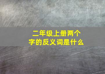 二年级上册两个字的反义词是什么