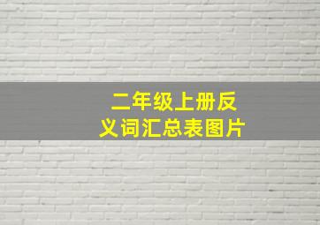 二年级上册反义词汇总表图片